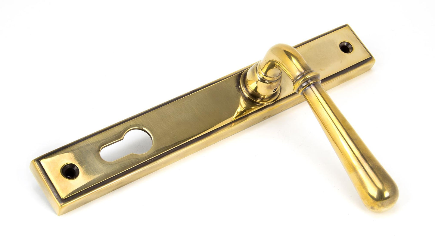 Newbury Slimline Lever Espag. Lock Set | Aged Brass - From The Anvil